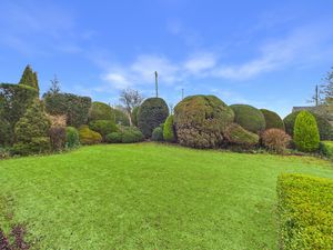 Garden- click for photo gallery